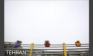 استقبال از بهار در خیابانهای تهران 27