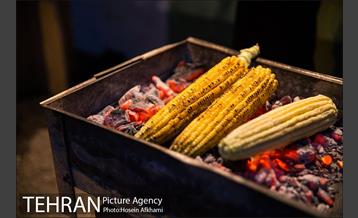 شیر بلال تابستان 11