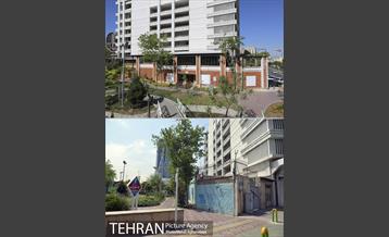 منطقه 8 در گذر زمان 6