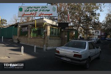 تره‌بار یلدایی 49