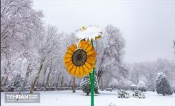 روز برفی در منطقه 6