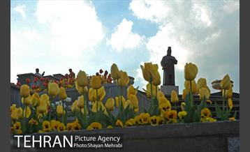 بوستان ملت 15