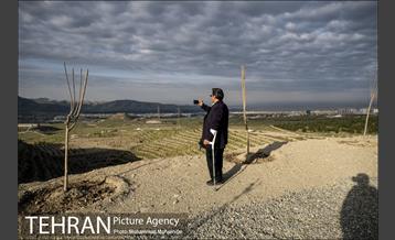 بازدید از پروژه جنگل کاری 1250 هکتاری 13