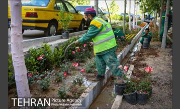 گلکاری در خیابان ولیعصر 8