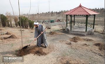 آئین غرس درخت به پاسداشت شهدای منطقه ۵ 7