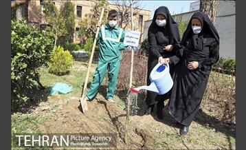 مراسم روز درختکاری در منطقه 7