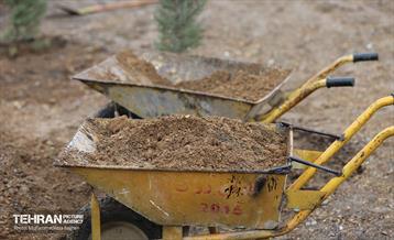 آغاز کاشت ۲۵ هزار اصله نهال غیرمثمر در بوستان چیتگر 4