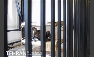 باغ موزه قصر 13