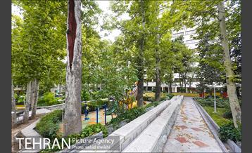 بوستان شطرنج 24