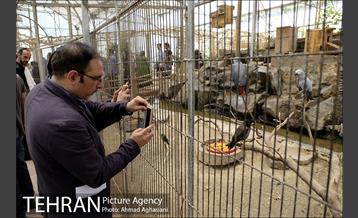 افتتاح اولین "باغچه خبر" در تهران 28