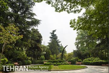 بوستان نیاوران 33