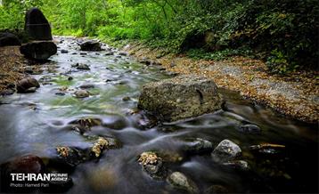 باغ گیاه‌شناسی 1