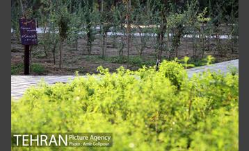 باغ راز هستی 7