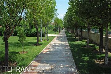 بوستان تمدن (گلبرگ) 20