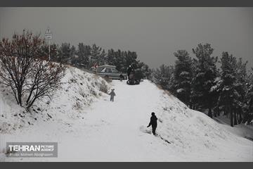روز برفی تهران - 2 13