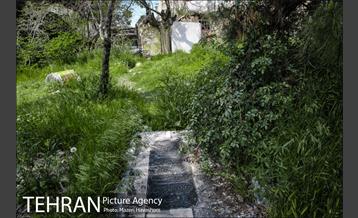 گورستان ده ونک 3