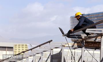 اینجا کارگاهه؛ بازار پرندگان خلیج فارس 2