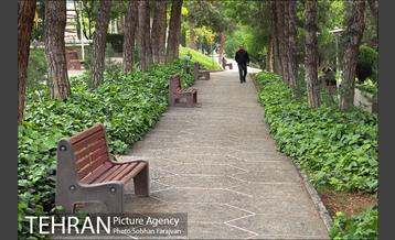 بوستان ساعی 16
