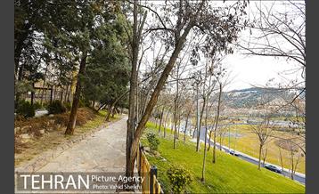 باغ راه فدک 15