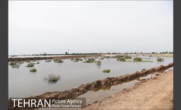 بازدید شهردار تهران از منطقه سیل زده پل سبحانیه دشت آزادگان 18