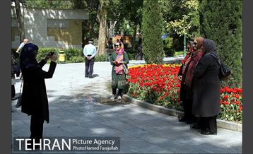 لاله های بهاری پارک شهر 19