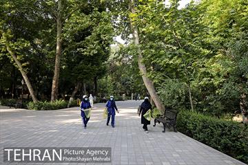 طرح پاکسازی پارک شهر تهران از فیلترهای سیگار  29