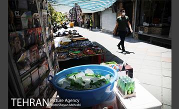 زیر آفتاب سوزان 14