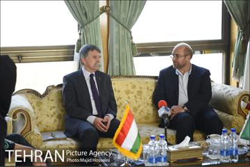 دیدار شهردار تهران با رئیس مجلس ملی مجارستان 4