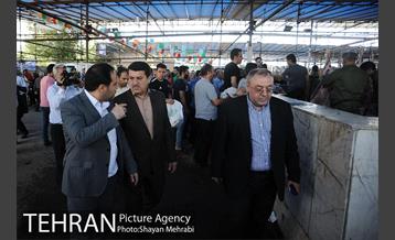 بازدید معاونین شهردار از جایگاه های عرضه دام زنده 7