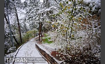 بارش برف پاییزی در بوستان طالقانی 30