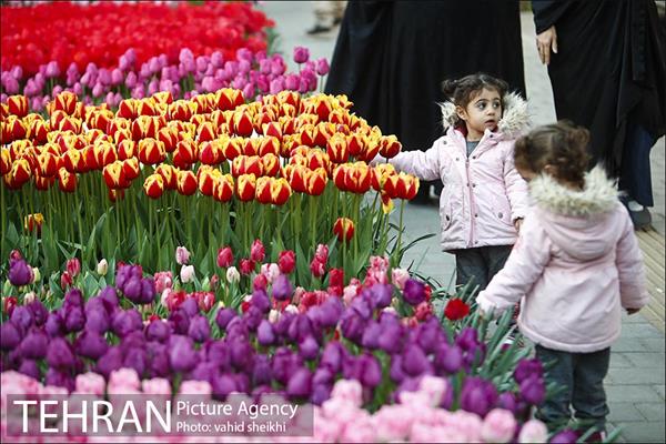 هفتمین سالگرد رویداد جذاب و دیدنی "پیاده راه لاله برای مادران" 5