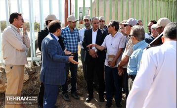 بازدید مدیرکل حوزه شهردار تهران از پروژه بزرگراه شهید شوشتری 7