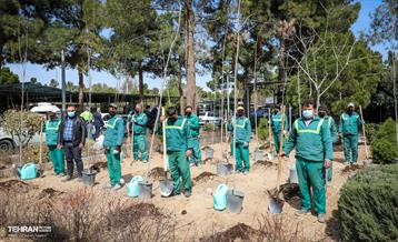 روز درختکاری با حضور مادران شهدا 4