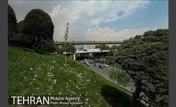 پل جدید بوستان آب و آتش 10