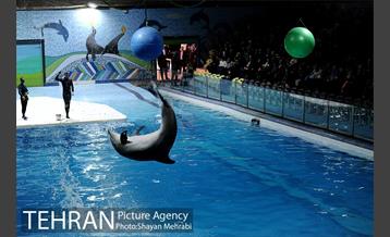 حضور خانواده هاى کارکنان شهردارى تهران در دلفیناریوم برج میلاد به همراه شهردار تهران 16