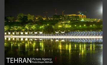 شب های باغ هنر 13