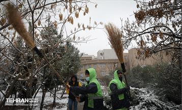 برف چهره تهران را سپیدپوش کرد 6