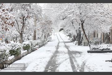 صبح آدینه برفی  29