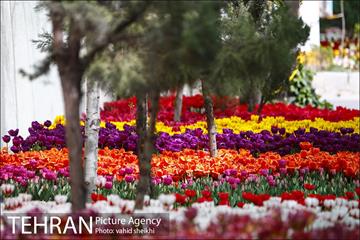 پیاده راه لاله برای مادران 15