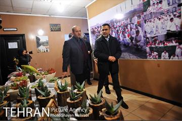 بازدید قائم مقام معاونت اجتماعی و جعمی از هنرمندان از سرای امید طلوع 6