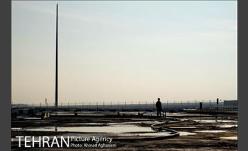 مجتمع پردازش و بازیافت زباله آراد کوه کهریزک  19