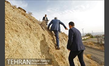 بازدید شهردار تهران از پروژه درختکاری کمربند سبز تهران  2