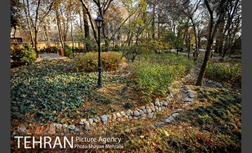 پاییز باغ ایرانی 32