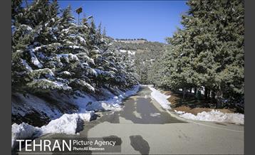 طبیعت برفی تلو 7