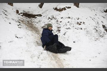 روز برفی تهران - 2 10