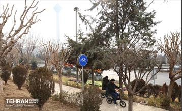 به وقت خدمت؛ مسیر زندگی 31