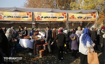 ششمین جشنواره خرمالو 19