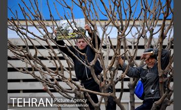 تشییع پیکر آیت الله هاشمی رفسنجانی رییس مجمع تشخیص مصلحت نظام -1 27