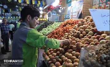 خدمات رسانی بازارهای میوه و تره‌بار 31