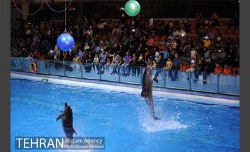 دلفیناریوم برج میلاد 16